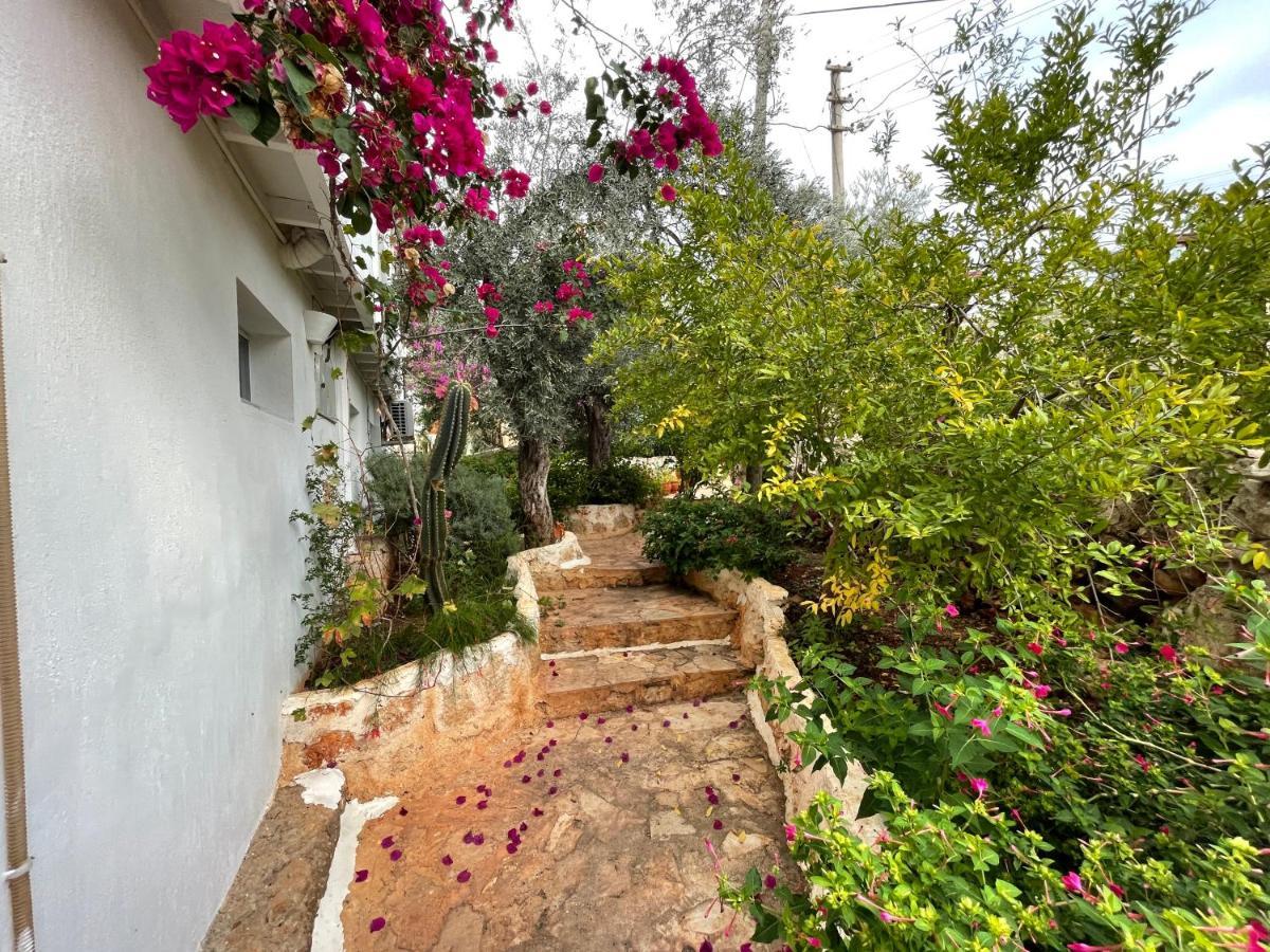 Kaktus Beach Apart Kaş Extérieur photo
